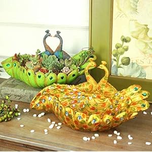 Peacocksucculentpotlargevintagepeacockplanterflowerpotuniquesucculentcactuscontainerhomeandgardendecorativesucculentplanternoplants  Urban Country Home Decor Peacock succulent pot large vintage peacock planter flower pot unique succulent cactus container home and garden decorative succulent planter no plants  urban country home decor
