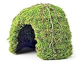 DBDPet Galapagos Mossy Dome Terrarium Hideaway Fresh Green 9in - Includes Attached Pro-Tip Guide