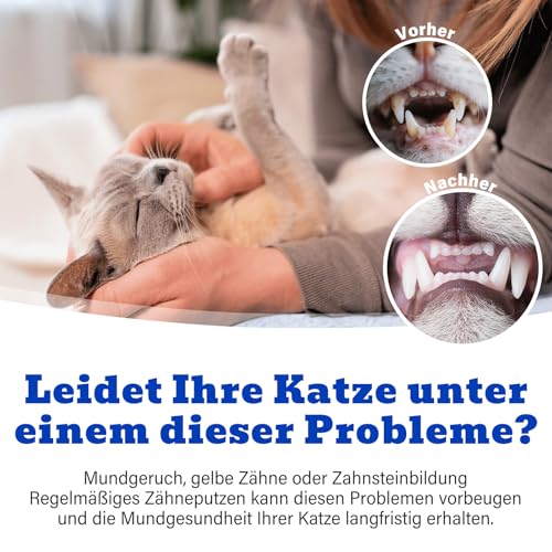 Oivolii Zahnpasta Katze mit Thunfischgeschmack (30g) und 2 Zahnbürsten | Katzen Zahnpflege Set | Sanfte Formel, frischer Atem und gut für die Zähne