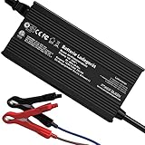 14,6 V 20 A LiFePO4 Batterien Ladegerät