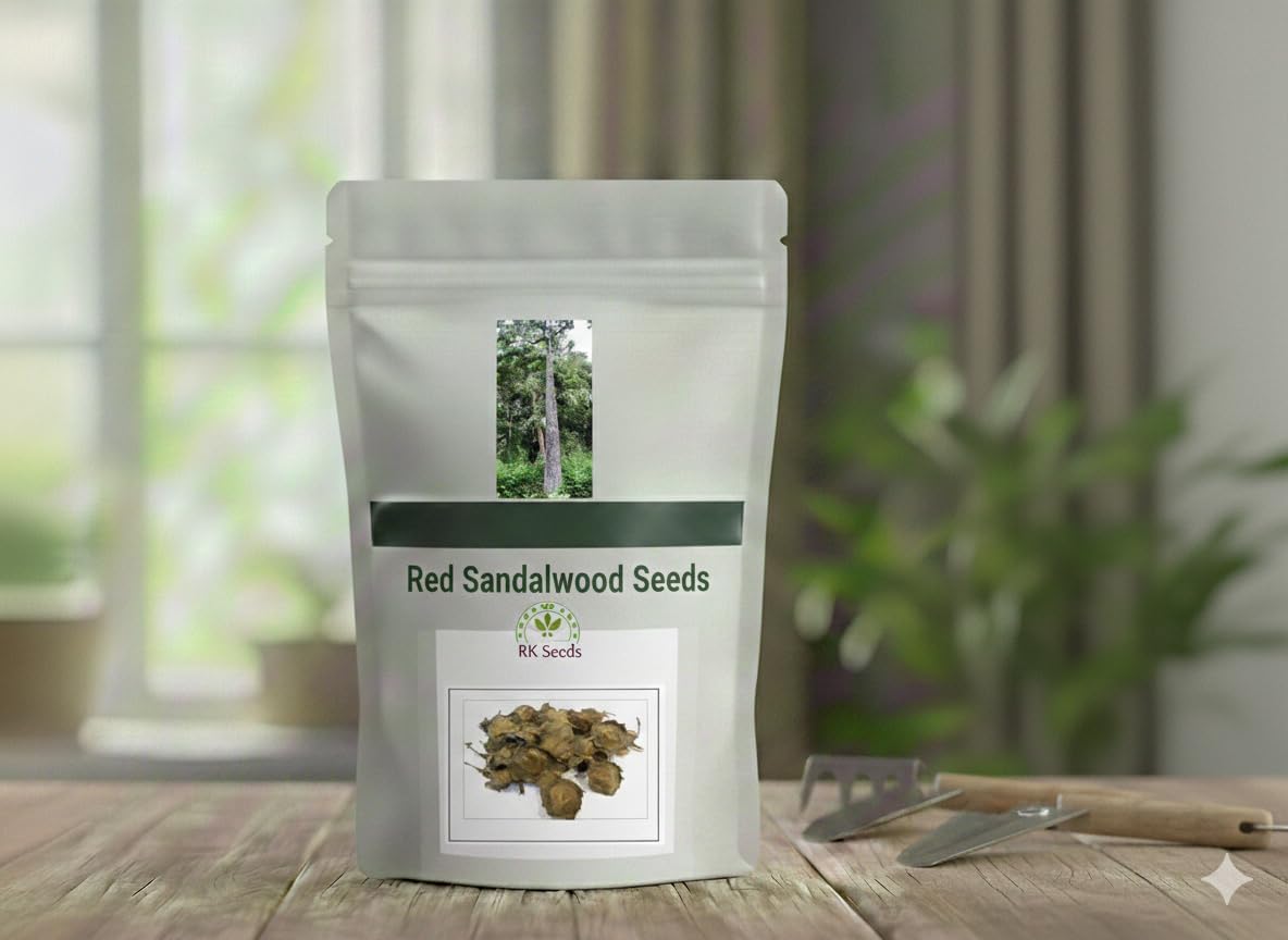 Red Sander seeds,Lal Chandan,Rakta chandan, Pterocarpus santalinus, Red Sander, Redsandal wood Tree Seeds for planting (100 gm, 100.00, gram)