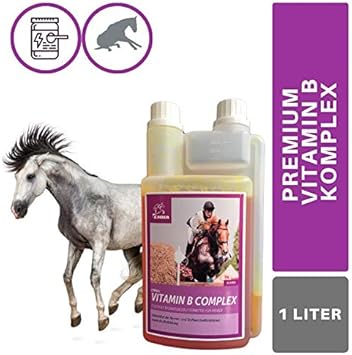 b complesso per animali