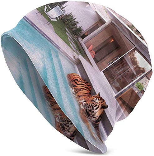 Palm Springs Outdoor The Best Amazon Price In Savemoney Es