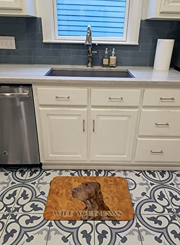 Tapis de sol Field Spaniel pour garder une entrée propre après la promenade