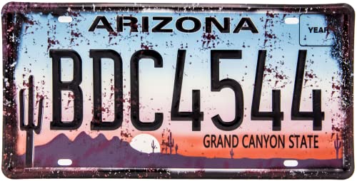 Plaque d'immatriculation rétro – Route 66 – Arizona – USA Vintage Auto Motorway Plaque décorative en tôle, 30 x 15 cm