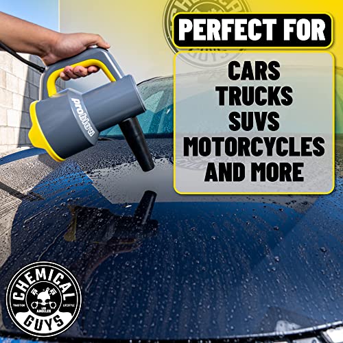 Chemical Guys EQP403 ProBlow High Flow Professional Hand Held Dryer & Blower (Car Wash Dryer) for Cars, Trucks, SUVs, RVs, Yard, Garage, Home, Work and More