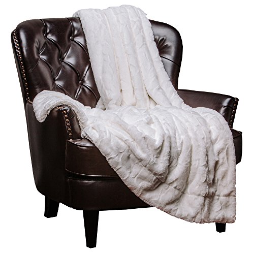 Chanasya Fuzzy Faux Fur Throw Blanket - Light Weight Blanket for Bed Couch