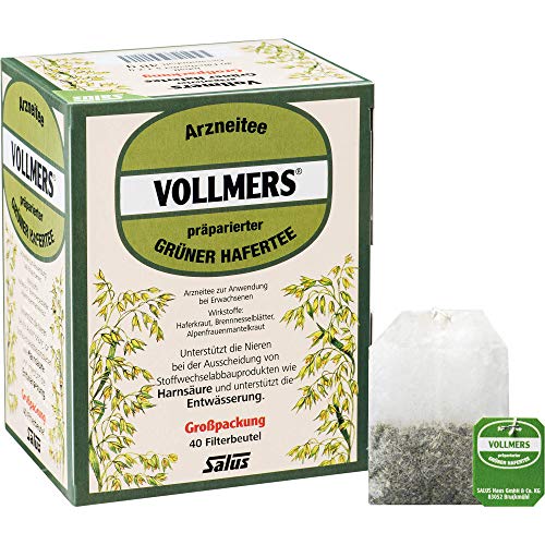 VOLLMERS präparierter grüner Hafertee Filterbeutel 40 St