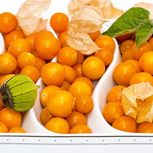 Physalis Andean Berry Cape Gooseberry Seeds - Physalis Peruviana - Andean Berry Seeds - Fruit Seeds - Seeds for 50 Plants - View 5