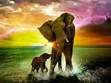 Fipart 5D DIY Diamond Painting Cross Stitch Craft Kit Wall Stickers for Living Room Decoration(14X18