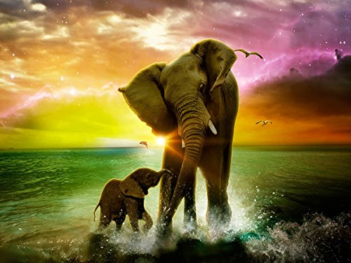 Fipart 5D Diy Diamond Painting Cross Stitch Craft Kit Wall Stickers For Living Room Decoration(14X18Inch35X45Cm) Elephant #TOP25