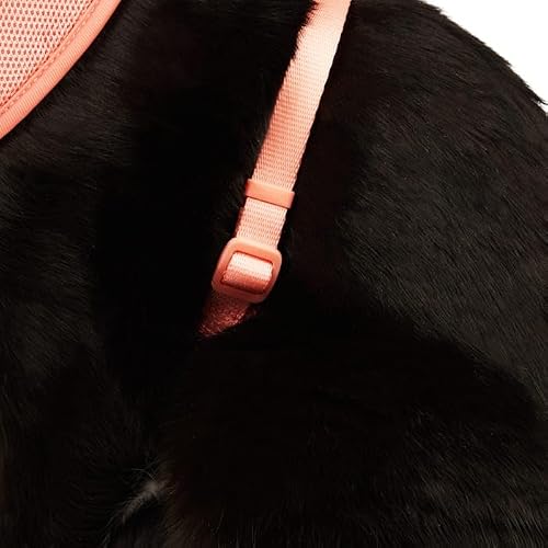 YOULY Mesh Cat Harness & Leash Set Coral & Blue Large/X-Large