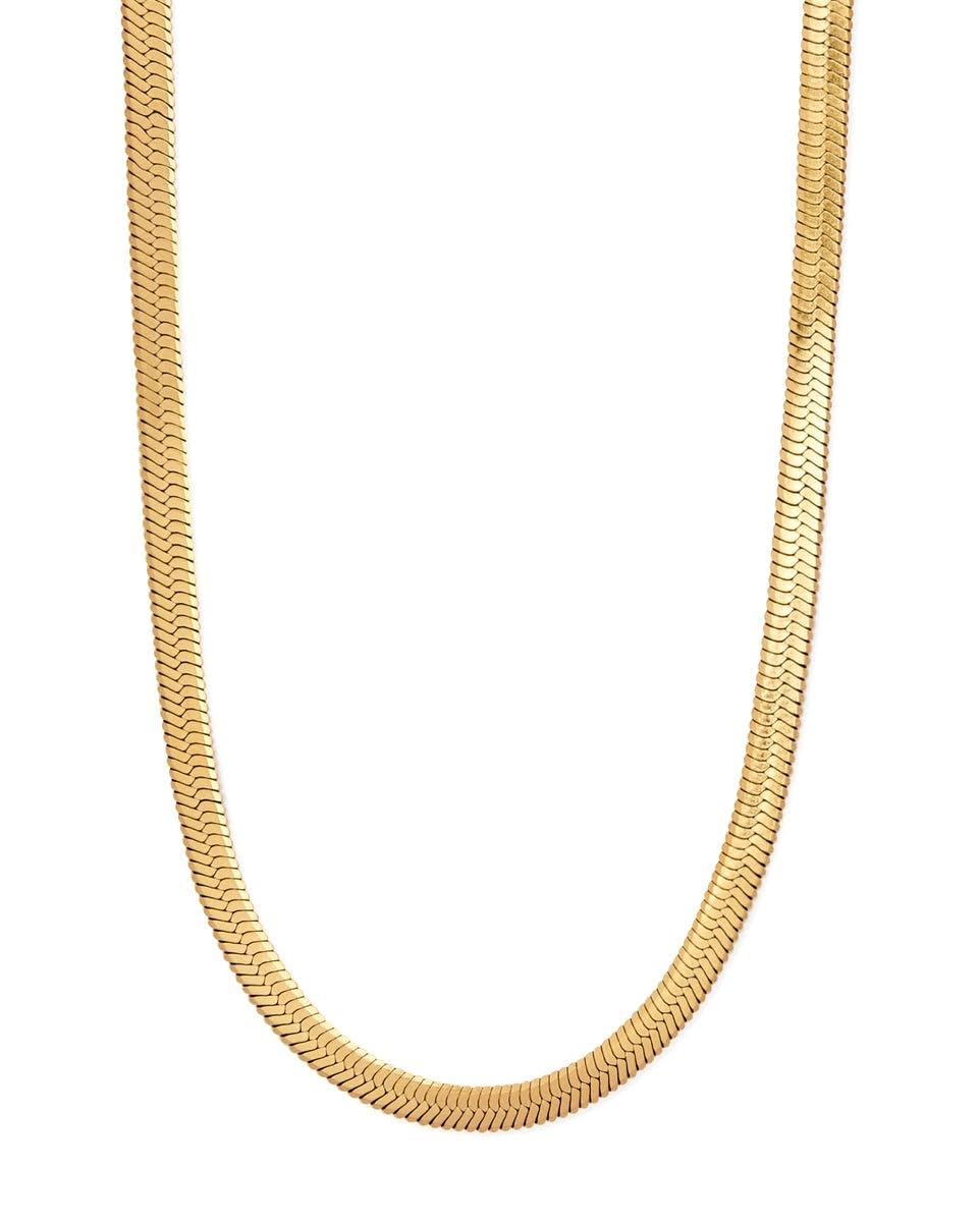JEWILLEY Anti-Tarnish Gold Plated Stainless Steel Flat Snake Chain | Herringbone Choker waterproof Chain Layering Necklace | Gifts for Women and Girls (B0D6K34P7H) Amazon Price History, Amazon Price Tracker