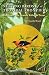 Nesting Birds of a Tropical Frontier: The Lower Rio Grande Valley of Texas (Perspectives on South Texas, sponsored by Texas A&M University-Kingsville)