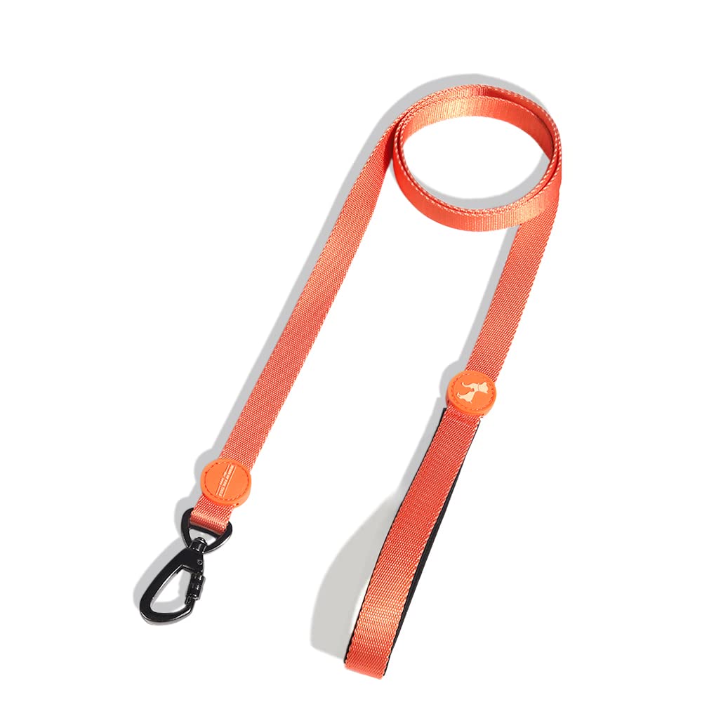 Heads Up For Tails Classic Nylon Dog Leash - Red - S (B09JGHV3XB) Amazon Price History, Amazon Price Tracker