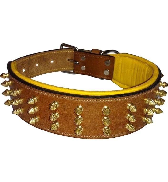 Scotty n Jijo Dogs Leather Spike Collars for All Life Stages Pets | Brown with Yellow Padding | L (B0D4F2HGVJ) Amazon Price History, Amazon Price Tracker
