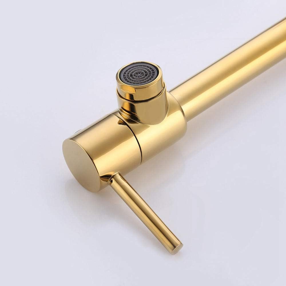 Faucets,Taps for Kitchen Pot Filler Wall Mounted, Brass Double Handle Cold Water Tap Multi-Function, Faucet Sinks(Black)