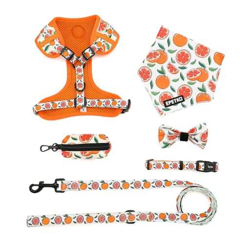 Small Dog Harness and Leash Set of 6, No Pull Soft Lightweight Mesh Puppy Harness, Adjustable Cute Floral Pattern Pet Harness for Small Medium Dogs - Image 3