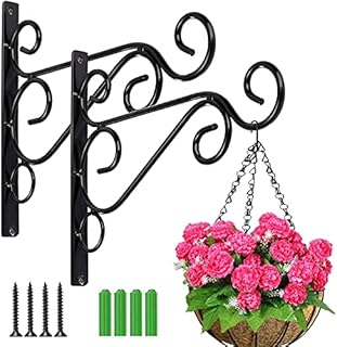 TSHAOUN 2 Pack Hanging Basket Brackets, 10 Inch Large Heavy Duty Wall Hanging Plant Basket Bracket, Indoor Outdoor Home Garden Iron Plant Wall Hooks for Planters Flower Lamp Birdcage Decor (Black)
