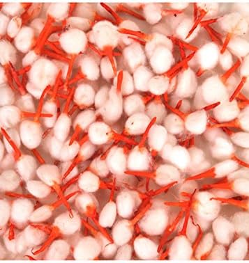 VRINDAVANBAZAAR.COM Puja Rui Batti Indian Round Cotton Wicks Diwali Pooja Aarti Jyot Batti, Candle Hindu Religious (White & Orange) Prayer & Worship Accessory for Home Décor Pack of 250