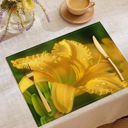 Tovagliette Cotone e Lino Set di 4 Tovaglietta, Emerocallide Giallo Tovagliette Lavabili Tovaglietta, Verdura Bifacciale Non-scivolos Tappetino da tavola 45 x 30 cm