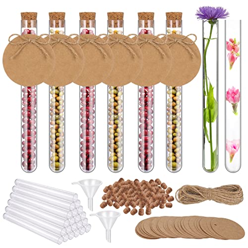 Zocipro 25 Stück Reagenzgläser,150x16mm(20ml) Glasröhrchen mit Korken,Transparent Reagenzgläsern mit 50 Piece Kraftpapieranhänger,10m Hanfseil und 2 Stück Trichter,für Laboratorien, Bonbons, Blumen