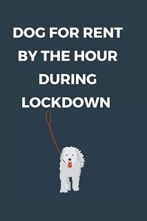 dog for rent by the hour during lockdown: a gag gift notebook for dog lovers