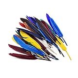 Größe: ungefähr 10-15cm; Fliyeong Federn schöne Feder Farbe Federn Feder Dekoration handgefertigte Feder für Studenten DIY handgefertigte Projekte 50 Stücke bunt