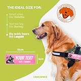 2 Personalised Labels for Tactical Dog Harness – 2 Self-Adhesive Patches, Compatible with Julius, OneTigris, Rabbitgoo... Original Safety Accessories (Pink, 15 x 5 cm) - Image 3