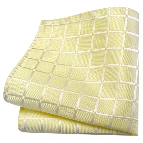 Image of GUSLESON 3.15 inch（8cm） Mens Tie and Lapel Pin Plaid Checkered Necktie Hankerchief Cufflinks Set for Men
