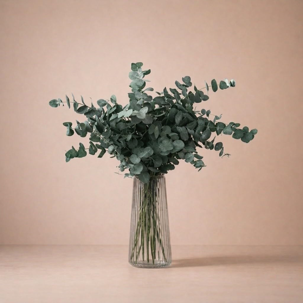 FLORES SOLIDARIAS - Flores Preservadas - Ramos de Flores Preservadas Naturales - Eucalipto Preservado - Regalo día de la Madre - Regalo Aniversario, Regalos San Valentín - Envio 24 h