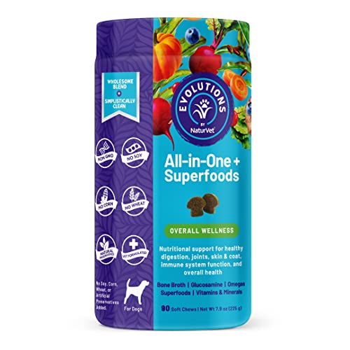 10 Best All In One Dog Supplement
