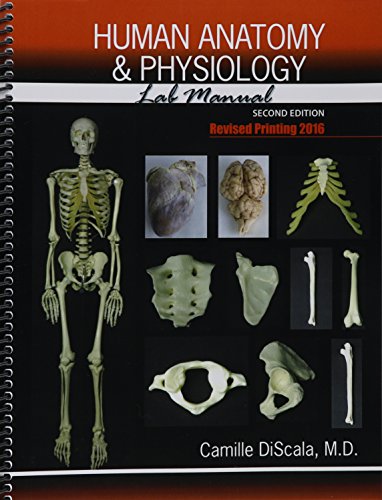 Human Anatomy and Physiology Lab Manual