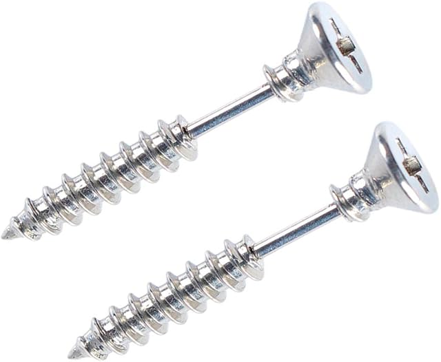 BODYA pair silver tone Stainless Steel Piercing Screws Ear Stud Earrings Lag spike Hip Earring punk me (Silver)