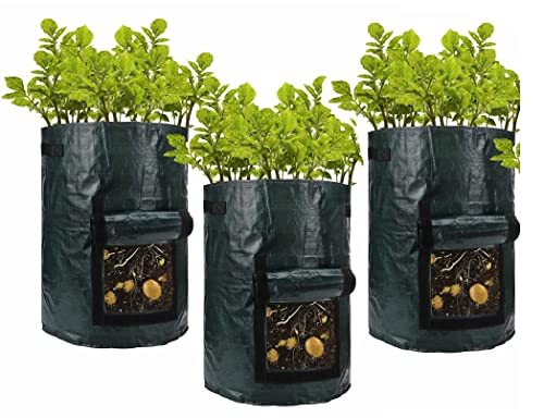 Optimal Products Plant Grow Bags Potato Fruit Vegetable Garden Planter Growing Bag 3-10 Gallons (3 Gallon / 11 L)