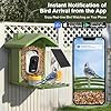 Smart Bird Feeder with Camera Solar Powered, AI Birds Species Identification, 2.5K Live View Video Bird House with Camera for Outside, Weatherproof Design Ideal Gifts for Christmas, Bird Lovers, Green #1