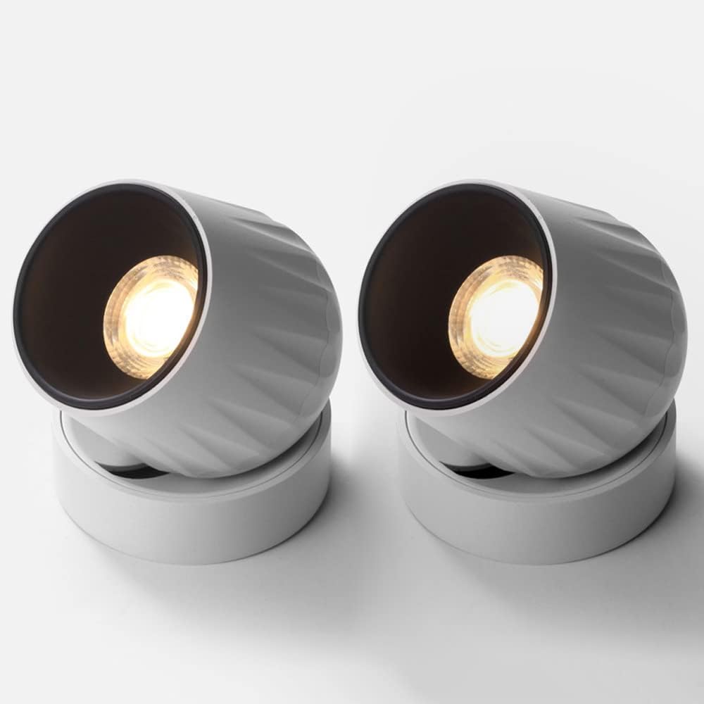 Led Surface Mount Spot Lights 2 Packs Ceiling Spotlight Monopoint Lighting Fixture Indoor, 360° + 90° Adjustable Directional Spotlights for Bookshelf Art Bedroom Bedside/Blanc4000K
