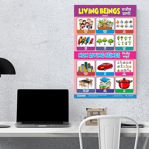 Image of ESCAPER Living Beings Educational Charts for Kids, Charts for Kids Learning (11.5 x 17.5 inches), Kids Study Material, Kids Learning Books, Educational Posters