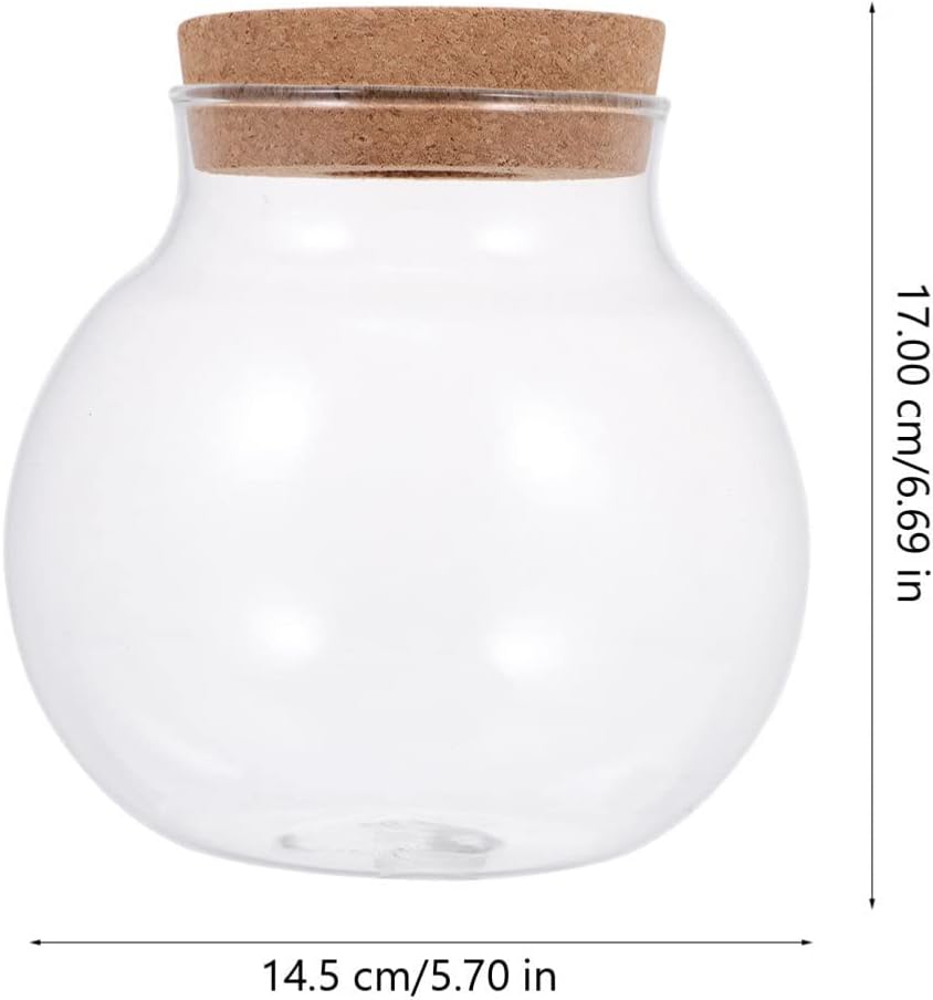 Mipcase Glass Plant Terrarium Air Plant Planter Globe Miniature Micro Landscape Pot Propagation Station for Hydroponic Aquatic Plant