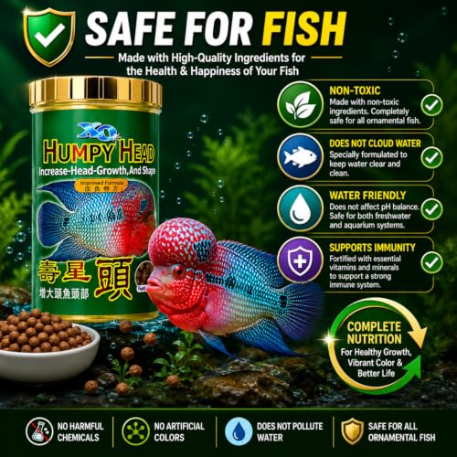 Image of VAYINATO Ocean Free XO Green Original Flowerhorn Fish Food 100g (280ml) | Head Growth & Kok Development | Color Enhancer Pellet Food for Flowerhorn Cichlid