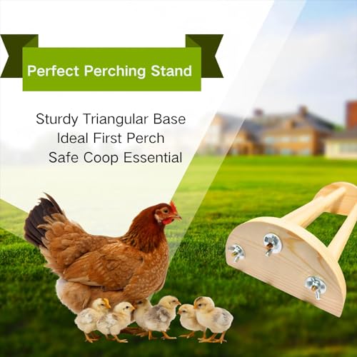 Image of Bird Chicken Perch Roosting Pole, Extra Long Safe Stand for Chicks and Hens, Training Wooden Perches for Mini Baby Chicks, Fun Toys