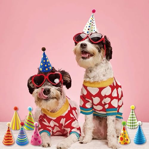 image for Lyosehy10 Pcs Birthday Party Hats for Kids Adults Animal. The Hat Deco