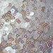 4mm FLAT ROUND SEQUINS ~ CRYSTAL IRIS RAINBOW IRIDESCENT Warm hue ~ Loose paillette sequins for embroidery, applique, arts, crafts, and embellishment. Made in USA