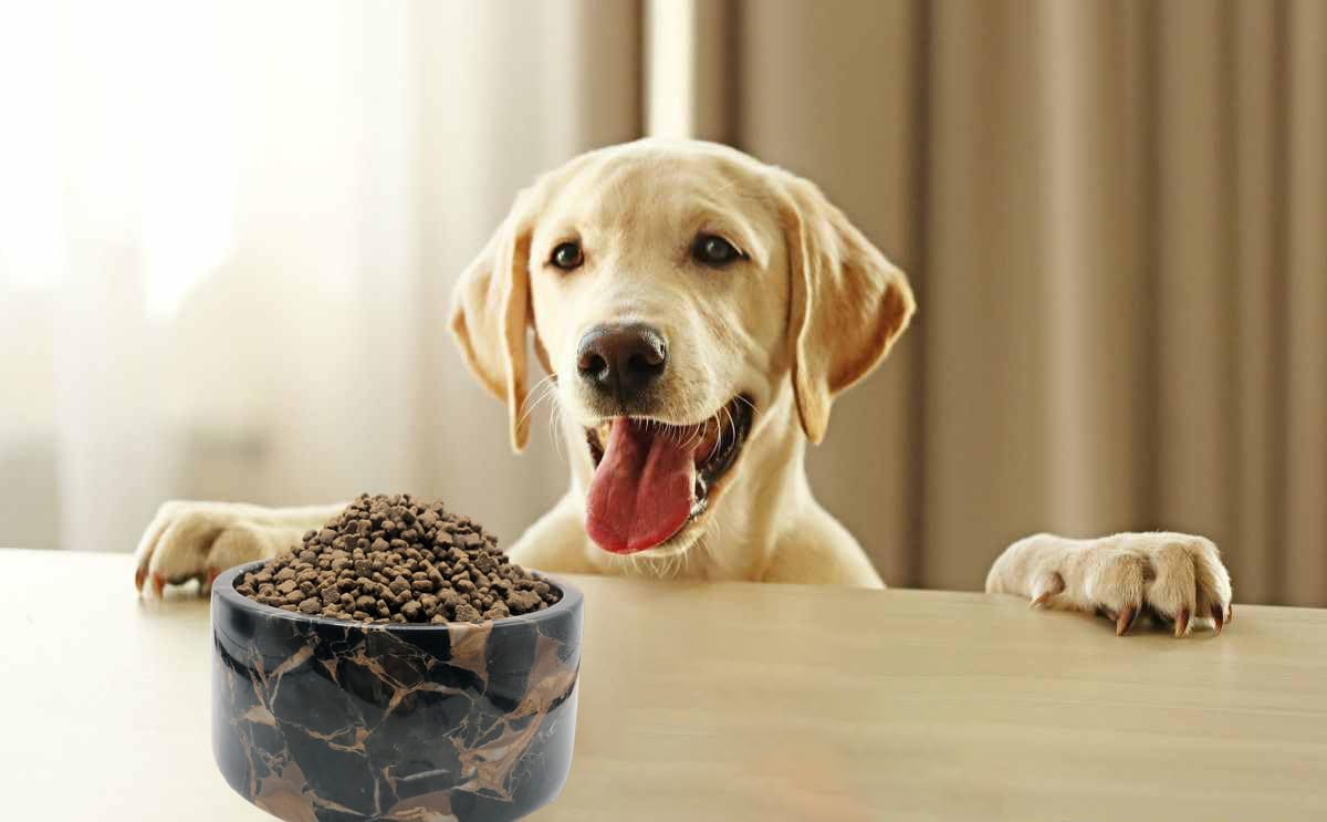 Natural Marble Pet Bowl for Dogs Cats and Pets, Skid-Proof and Durable Pet Food and Water Bowls, Suitable for Various of Animals (Portoro)