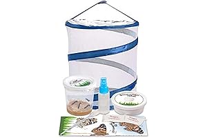 Nature Gift Store Live Caterpillar and Butterfly Kit