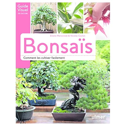 Bonsaïs - Comment les cultiver facilement