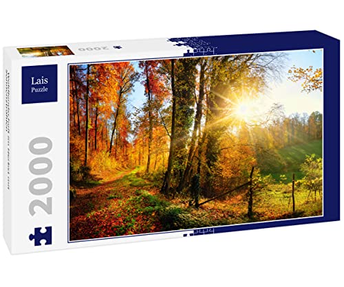 Lais Puzzle Paysage forestier en Automne avec Rayons de Soleil 2000 Pièces Cover
