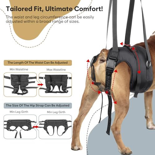Visiklit Dog Lift Harness - Adjustable Sling for Medium & Large Dogs’ Hind Legs, Senior Dogs with Arthritis, Joint Injuries - Support Harness with Handle for Walking, Stairs, & Recovery - Large by Visiklit - Image 4