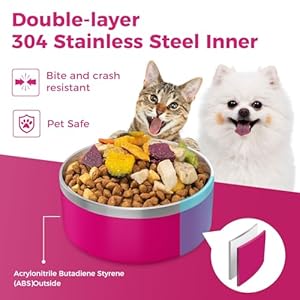 LIHONG Dog Bowls,Stainless Steel Dog Bowls for Large Dogs,Dog Food Water Bowls with Non Slip Rubber Bottom,Pet Feeding Bowl,Double Wall Insulated,Rustproof(64oz,Pitaya Pink)