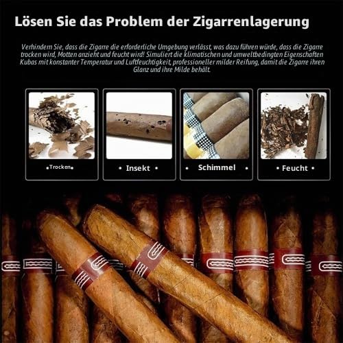 Elektrischer Humidor mit Zedernholzfutter, intelligente Temperaturregelung 16-22°C, einstellbare Luftfeuchtigkeit 60-80%, LED-Licht, große Kapazität für Männer